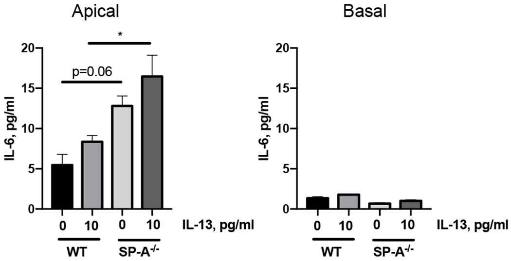 Figure 6,