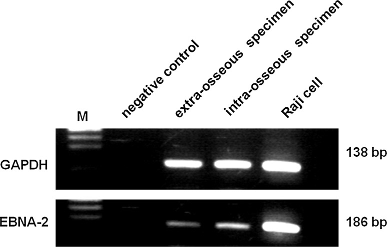 Fig. 7