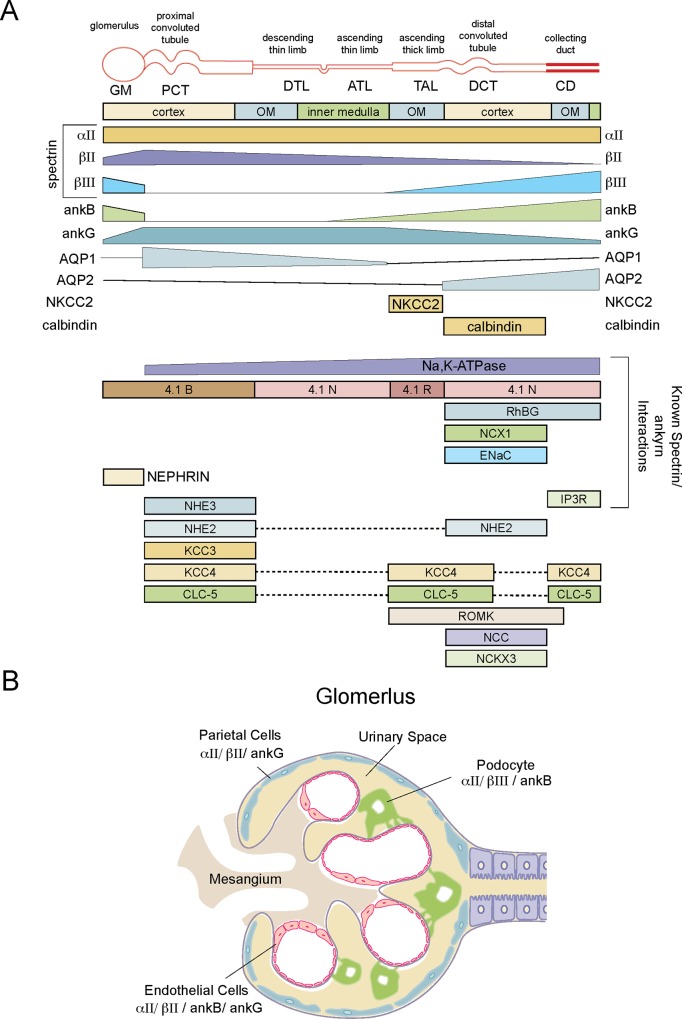 Fig 10