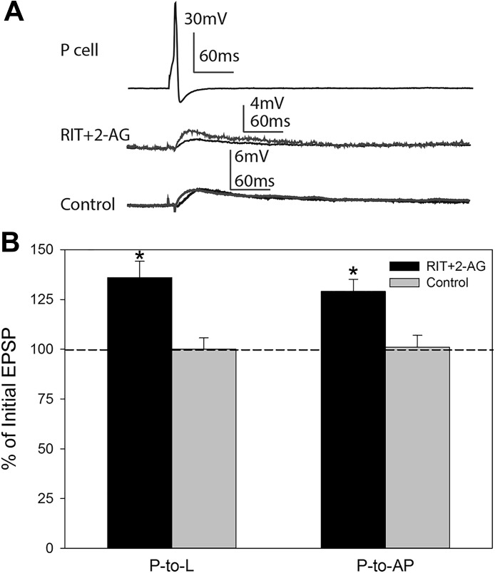 Fig. 6.