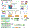 Extended Data Figure 1: