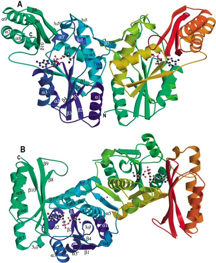 Figure 1.