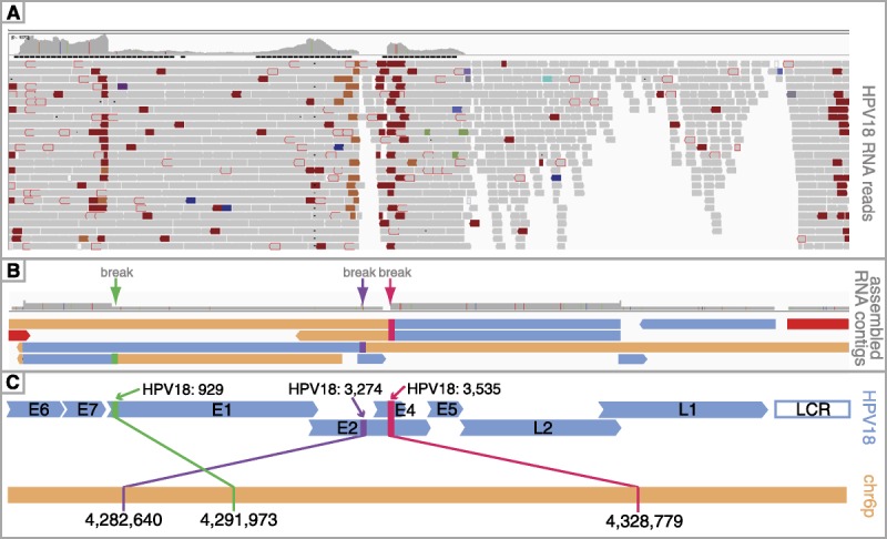 FIGURE 2