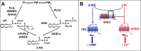 Figure 9.