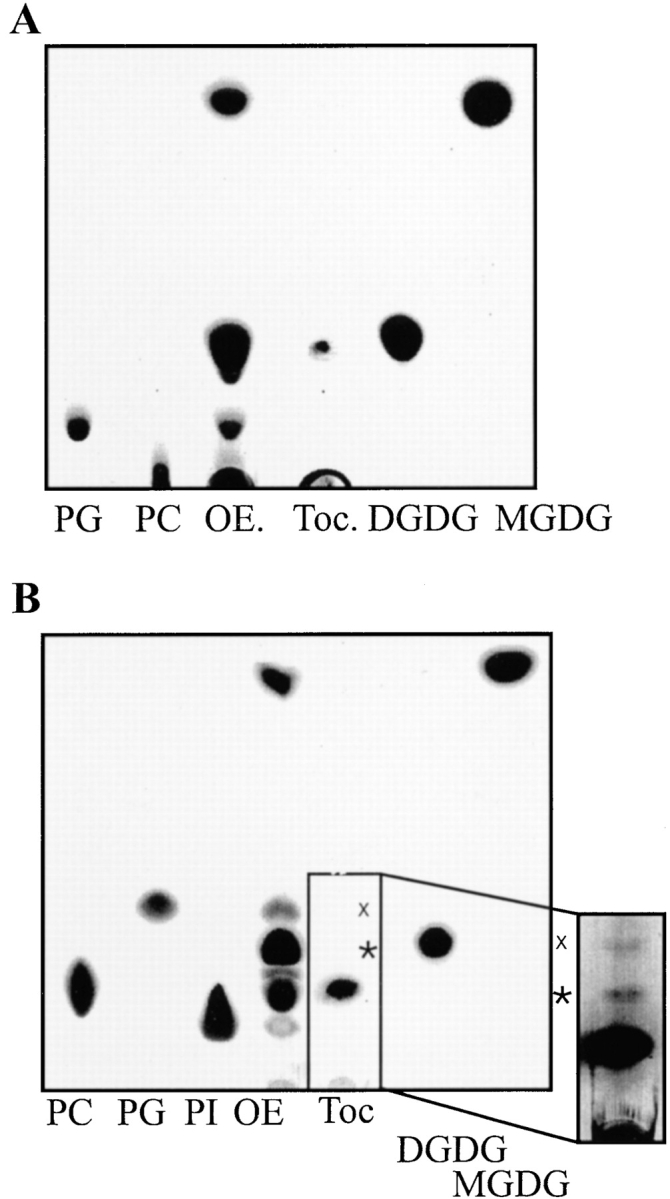 Figure 3.