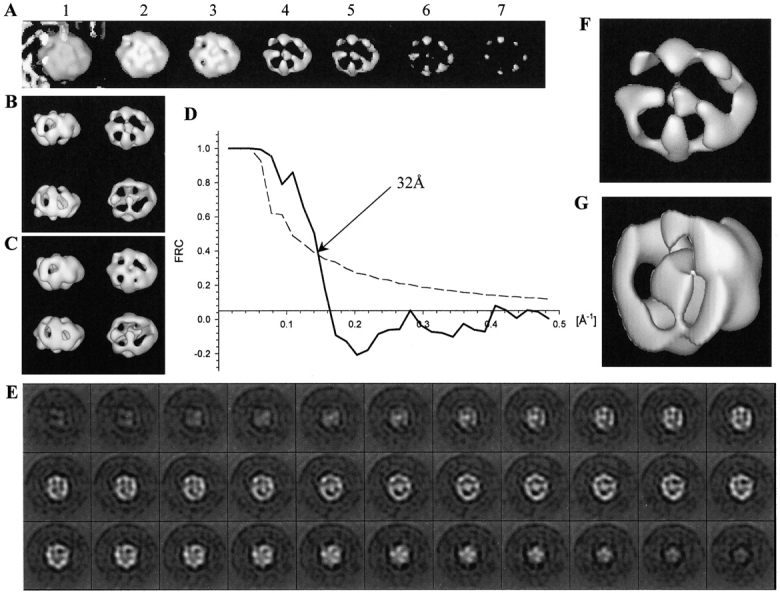 Figure 7.