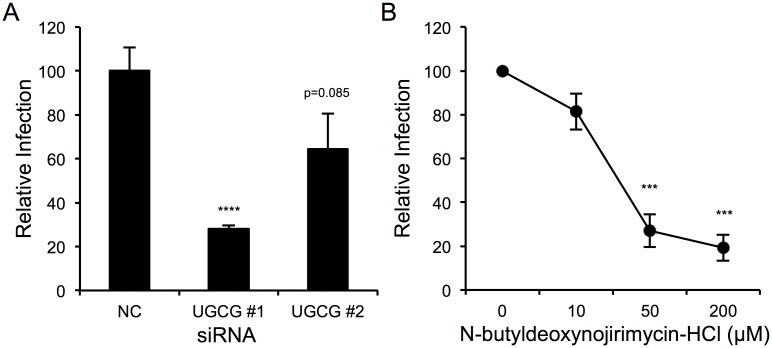 Fig 5