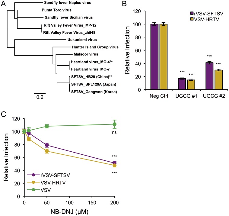 Fig 6