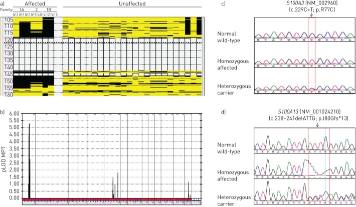 FIGURE 2