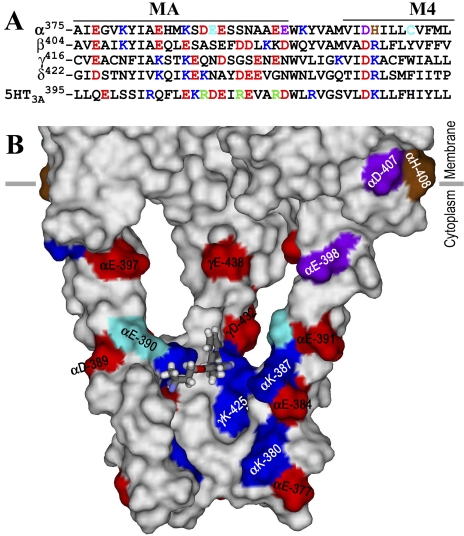 Fig. 9.