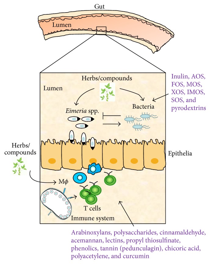 Figure 2