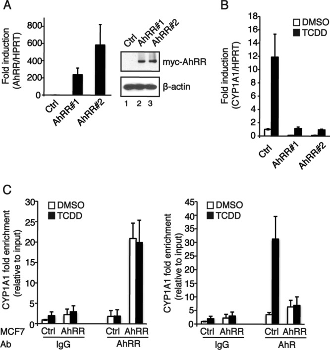 FIG 3