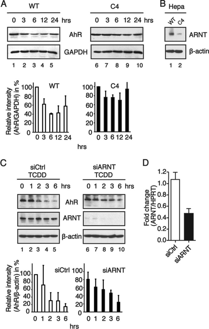 FIG 2