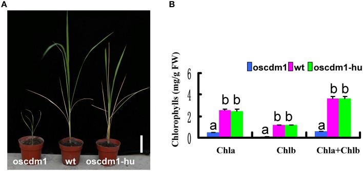 Figure 9