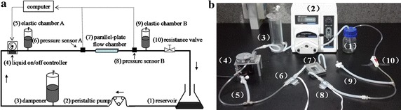 Fig. 1