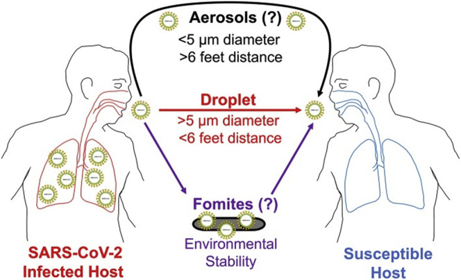 Figure 2