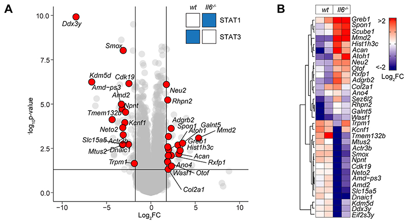 Figure-5