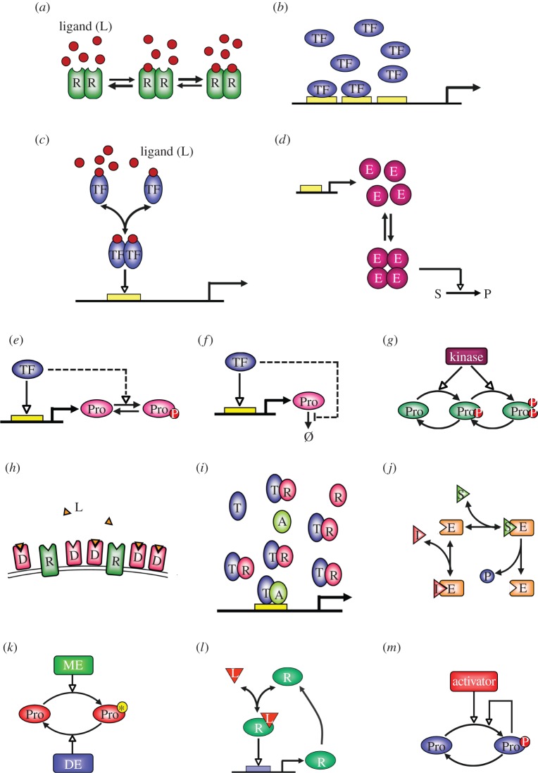 Figure 3.