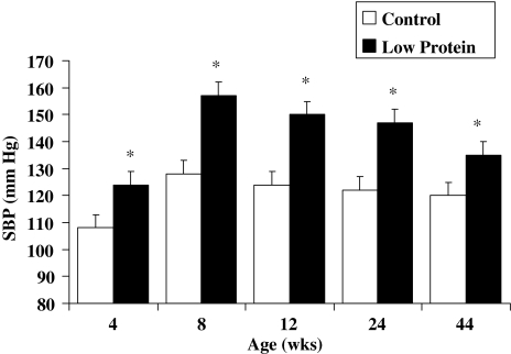 Fig. 1