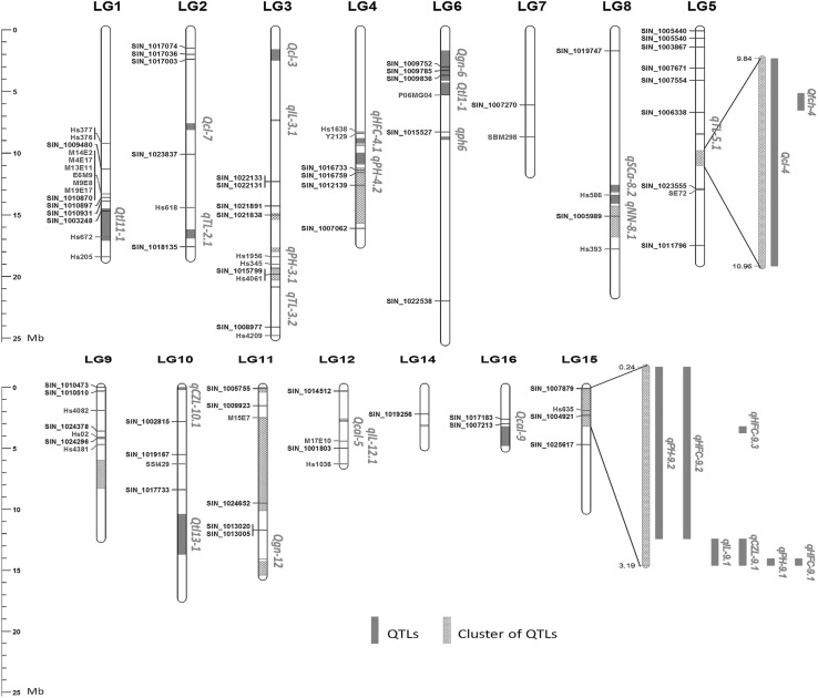 Fig. 2