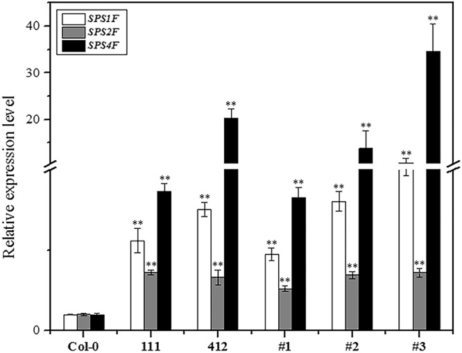 Figure 7