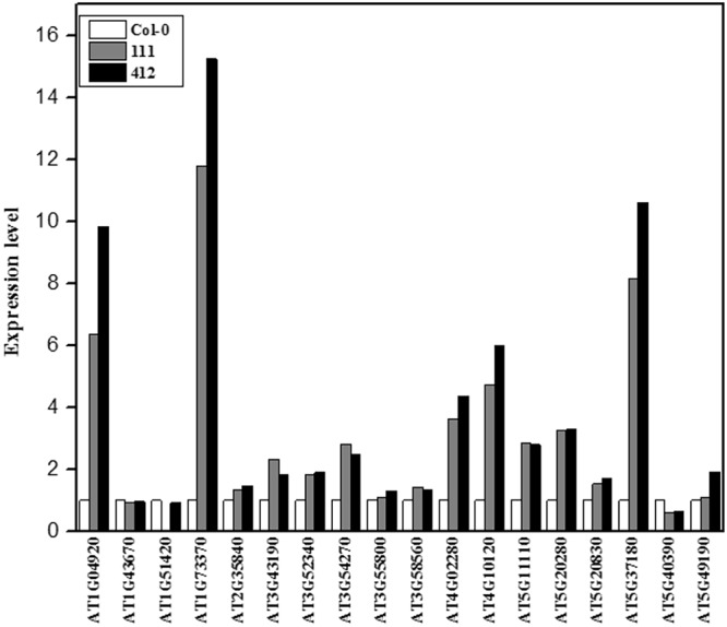 Figure 5