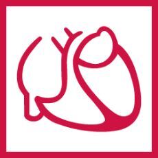 graphic file with name 15006_2022_1122_Fig1_HTML.jpg