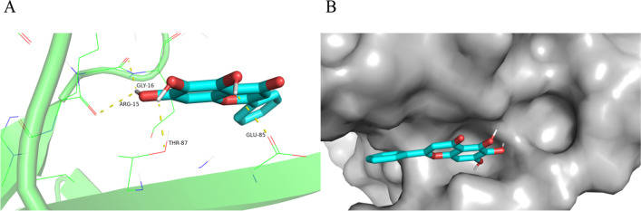 Fig. 6