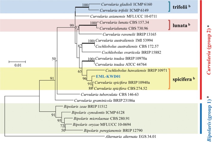 Fig. 4