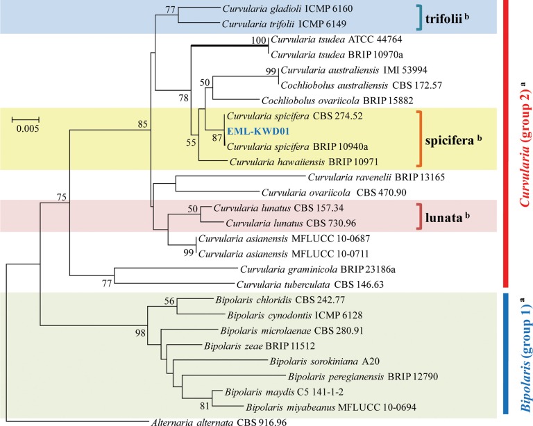 Fig. 2