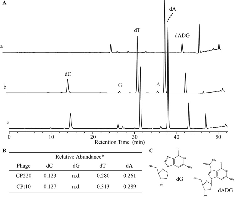 FIG 4