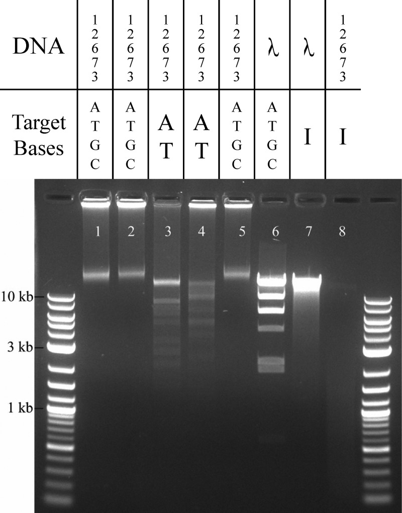 FIG 2