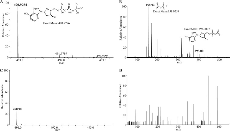 FIG 3