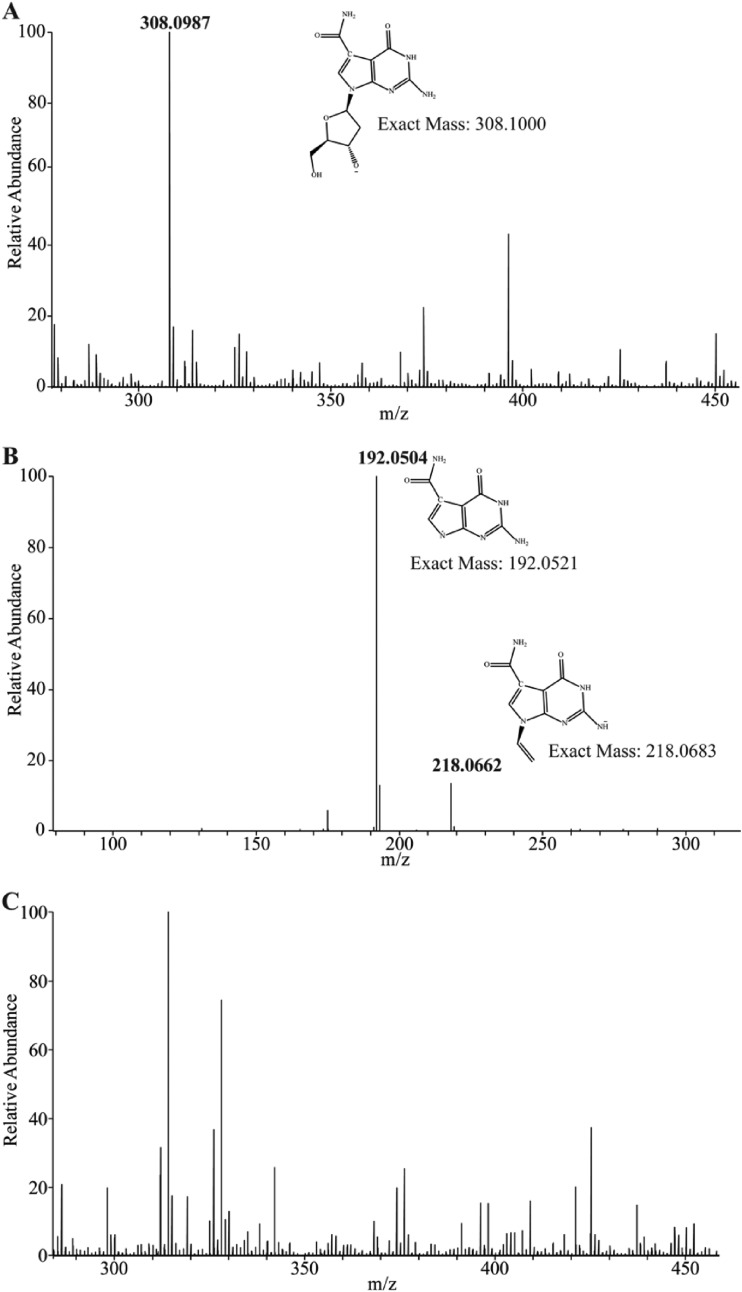 FIG 6