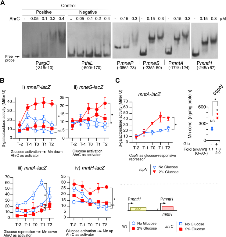 Figure 2