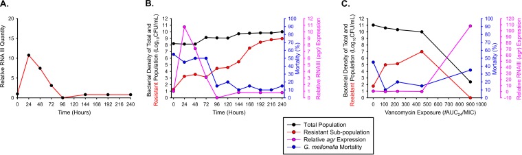 FIG 6