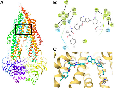 FIGURE 1