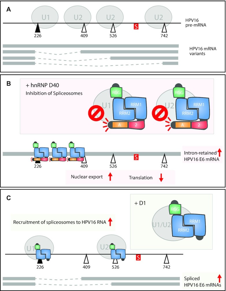 Figure 9.