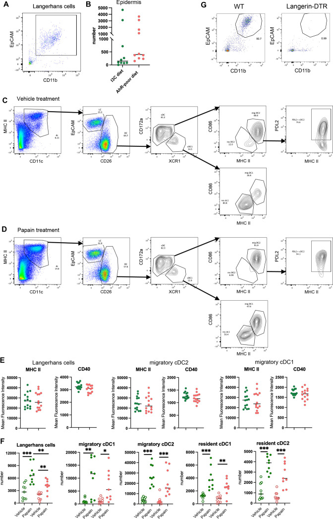 Figure 4—figure supplement 1.