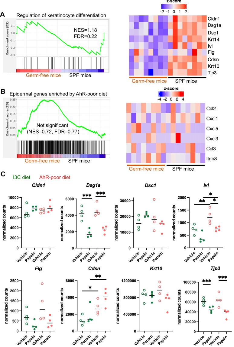 Figure 5—figure supplement 2.