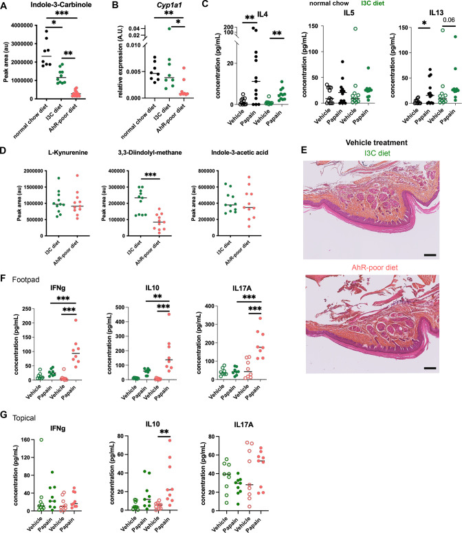 Figure 1—figure supplement 1.