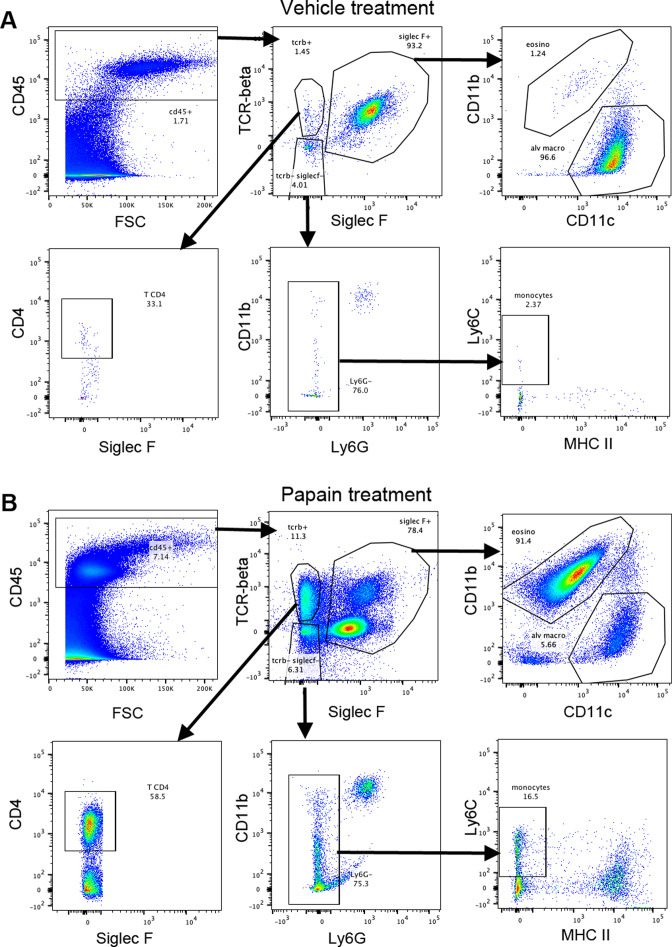 Figure 2—figure supplement 1.