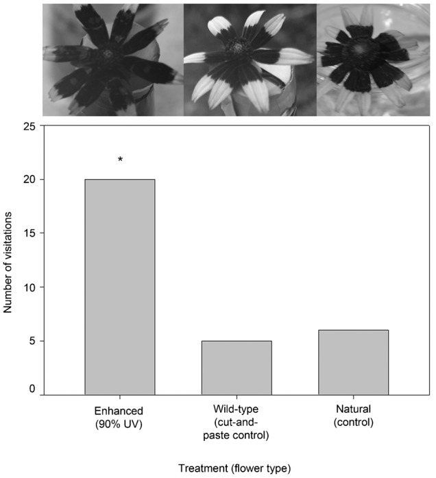 Fig. 5.