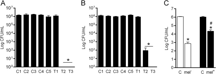 FIG 2