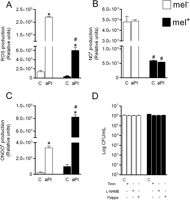 FIG 3