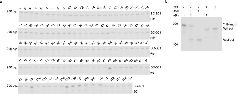 Extended Data Figure 1