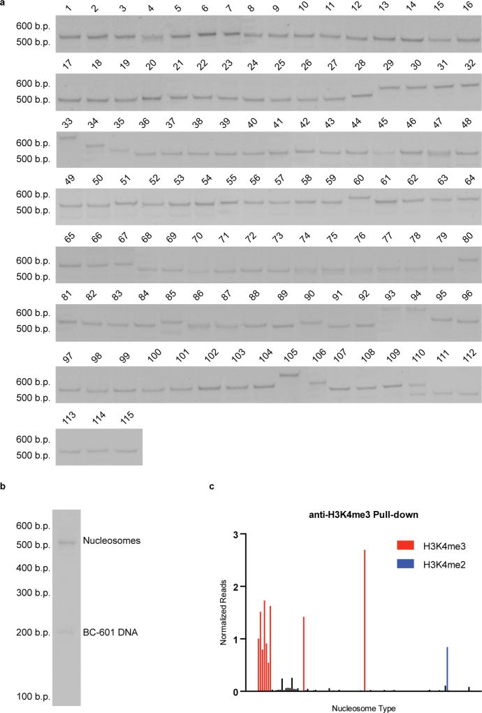 Extended Data Figure 2