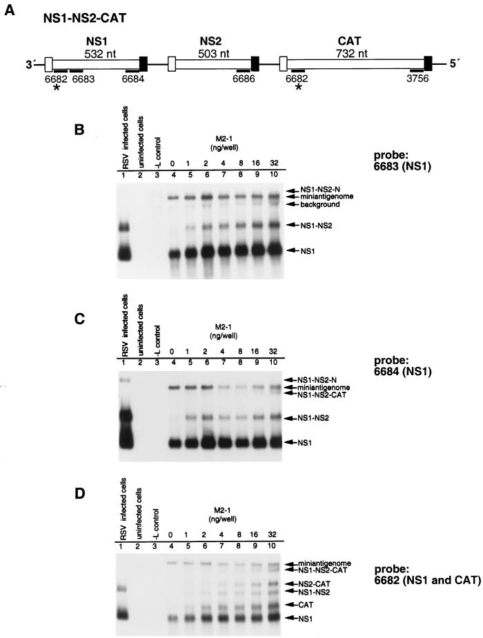 FIG. 4