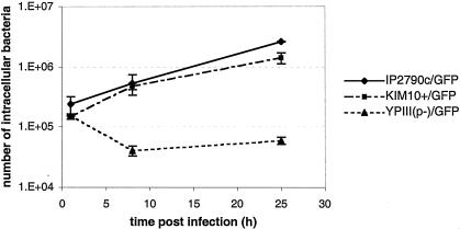 FIG. 2.