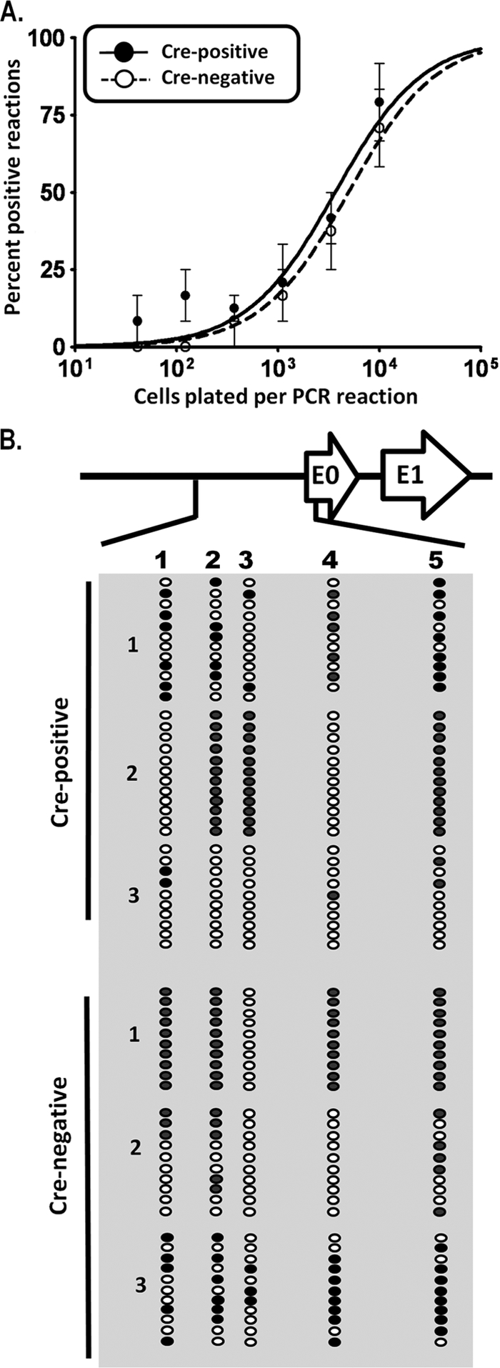 FIG. 8.